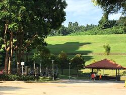 Blk 385 Bukit Batok West Avenue 5 (Bukit Batok), HDB 4 Rooms #551552281